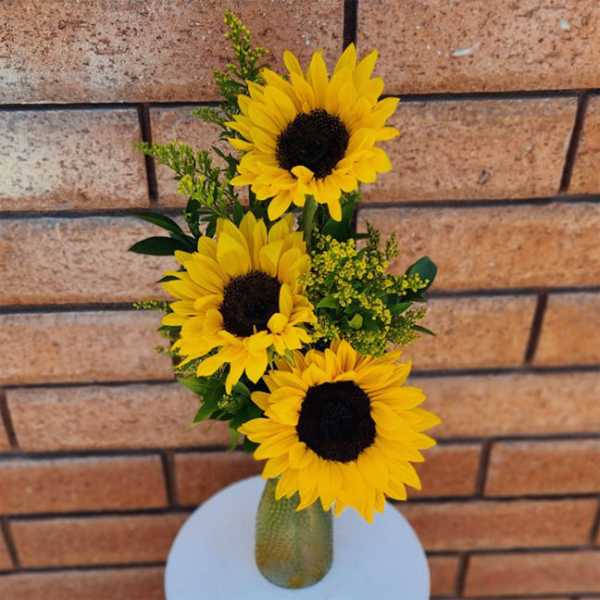 Three sunflowers in a glass vase with greenery
