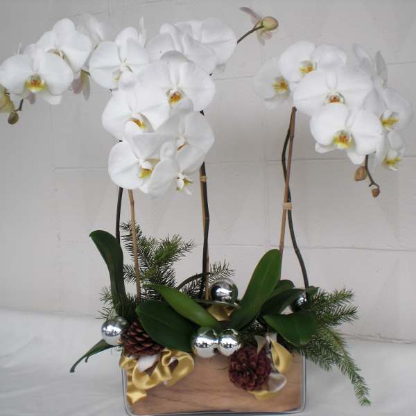 White orchid arrangement in a rectangular container with pinecones and silver ornaments
