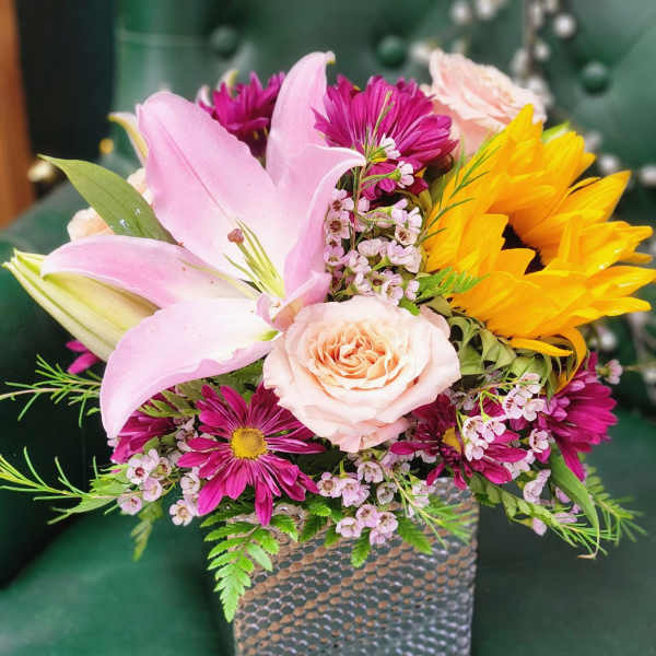 Elegant Stargazer Cube