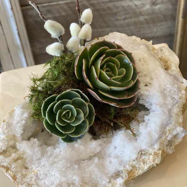 Light of Sea (ARCHIVED)