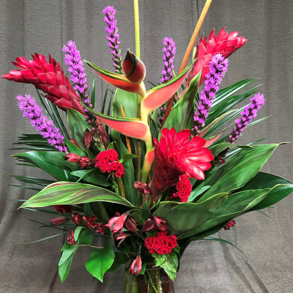 Heliconia color blast tropical valentine