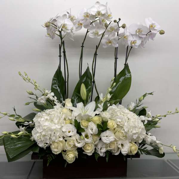 White orchid and rose arrangement in a rectangular container