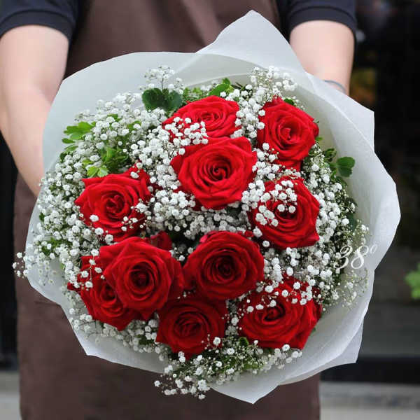 Bouquet of red roses with white baby's breath in white paper wrap