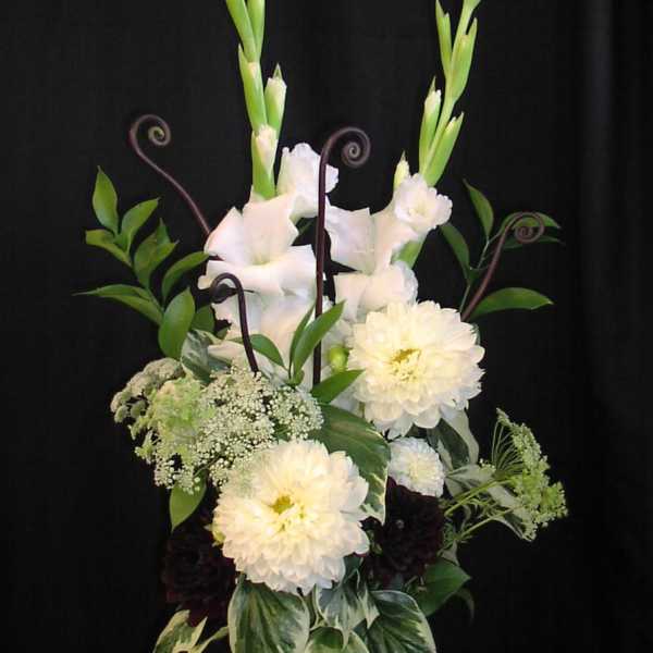 Dahlias and Monkey Tails