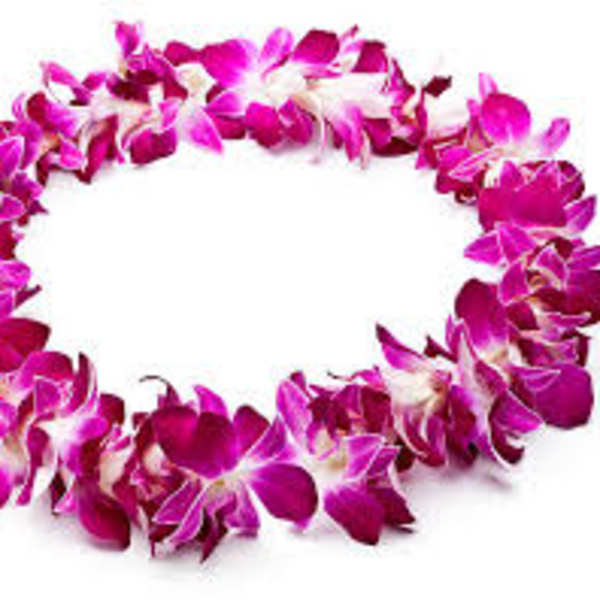 ORCHID LEI