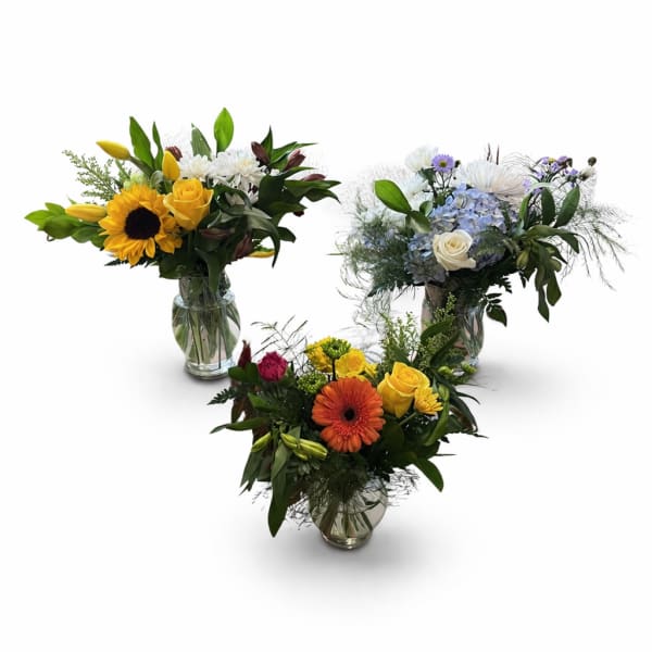 Administrator Trio Package