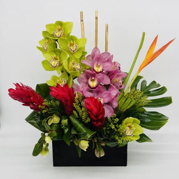 Tropical arrangement with green and pink orchids, red gingers and a bird of paradise in a black rectangular box