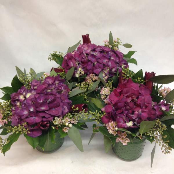 Three purple hydrangea arrangements in green containers