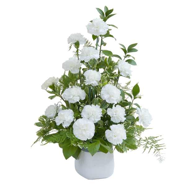 Tall arrangement of white carnations in a white vase