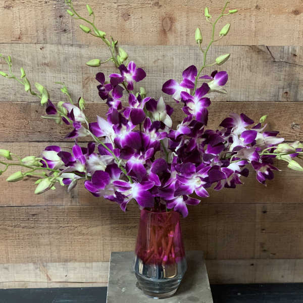 Purple orchids arranged in a pink glass vase
