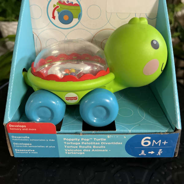 Fisher-Price turtle toy in a retail display box