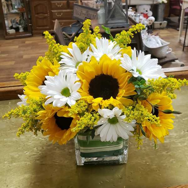 Sunflowers and white daisies in a square glass vase