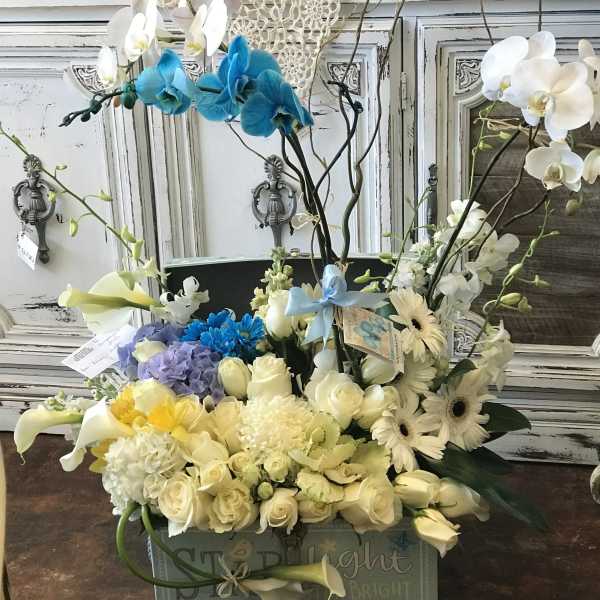 Mixed floral arrangement with white orchids, roses, and blue orchids in a box