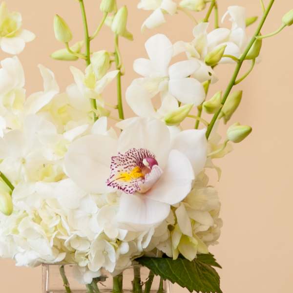 White orchids and hydrangeas in a clear glass vase