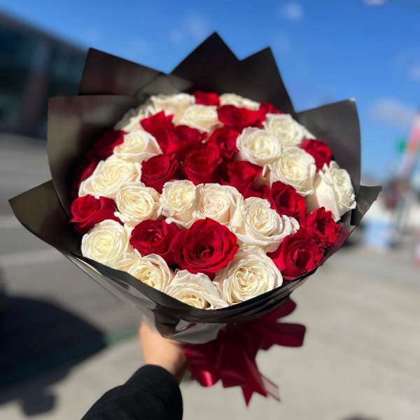 Bouquet of red and white roses wrapped in black paper