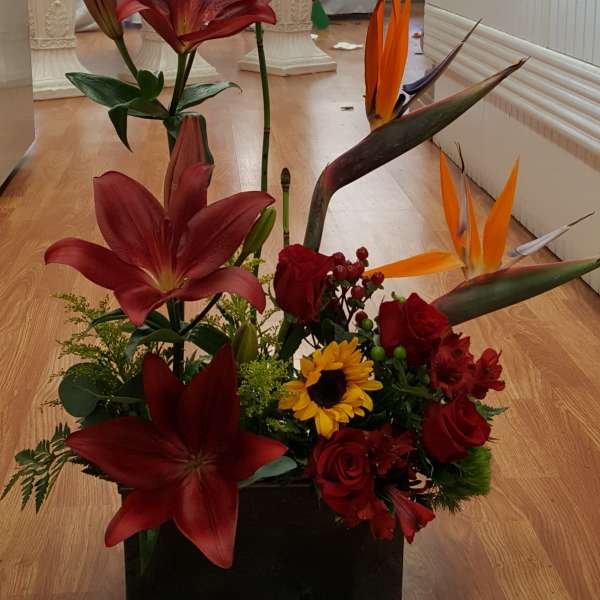 Paradaise and lily designed