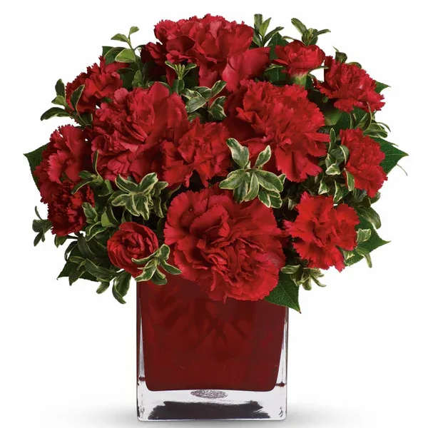 Red carnations arranged in a square glass vase