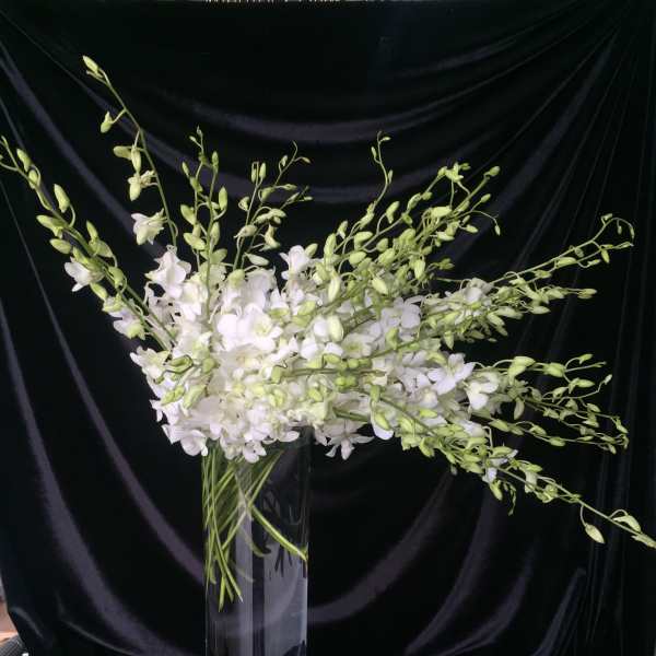 White orchid arrangement in a tall clear glass vase