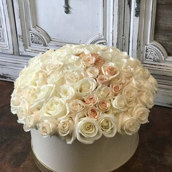 Round box arrangement of cream and blush roses
