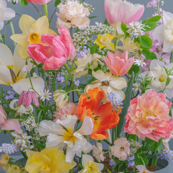 Designer’s Choice $125