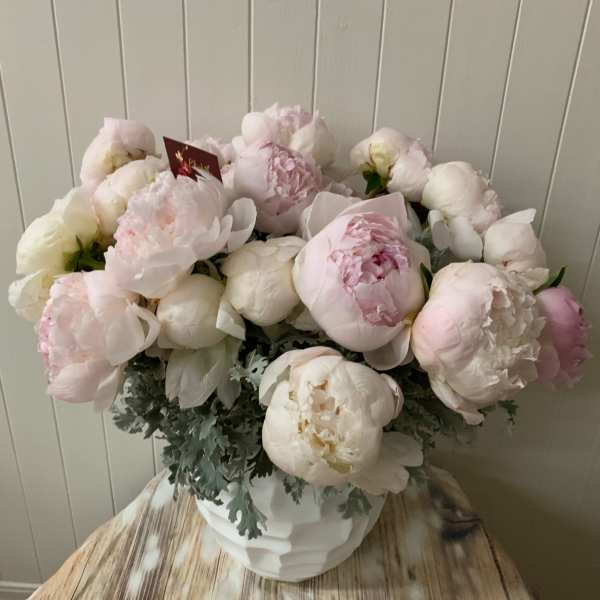 Large bouquet of pale pink and white peonies in a white vase