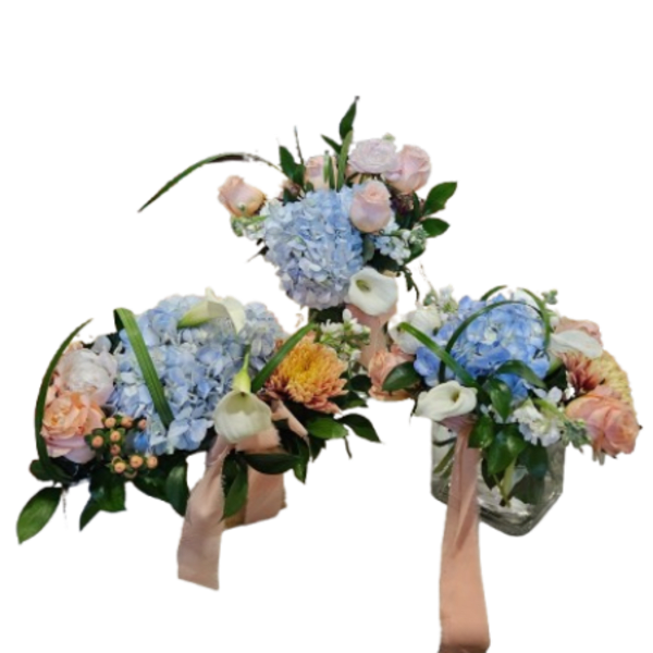 Signature Coastal Elegance Collection