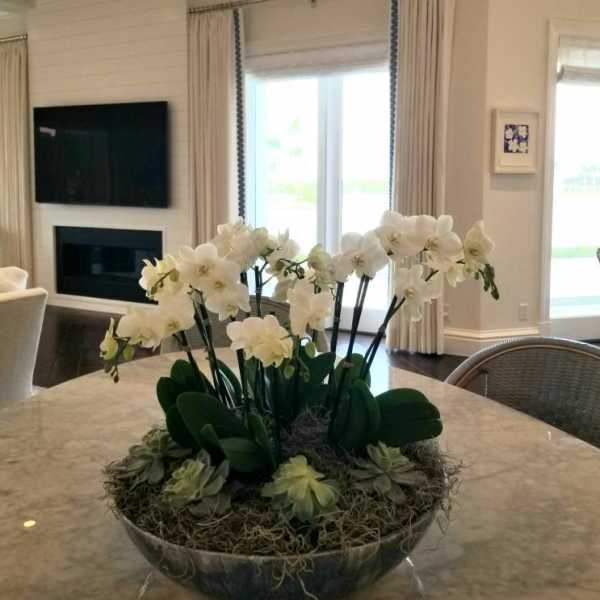 White orchids arranged in a low bowl centerpiece on a table