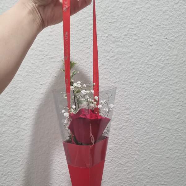 Single red rose in a cone wrap with white baby's breath