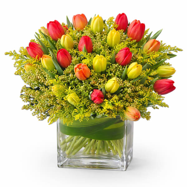 Colorful tulip arrangement in a square glass vase
