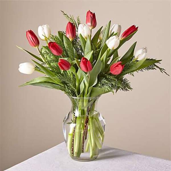Red and white tulips in a clear glass vase
