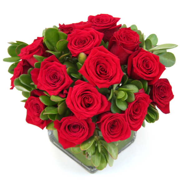 Red roses arranged in a low square vase with green succulent foliage
