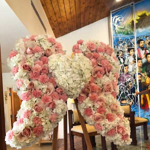 ANGEL WINGS LOVELY PINK