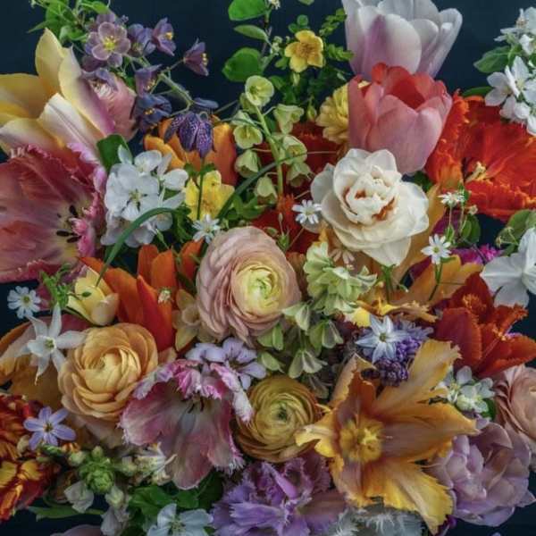 Designer's Choice $400