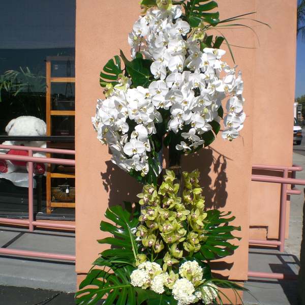 Tall orchid arrangement with white and green blooms in a decorative container