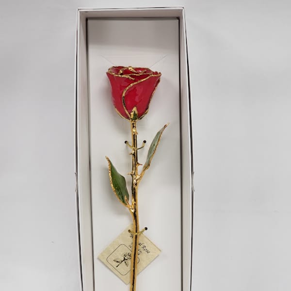 Preserved Red 24KT Gold Rose