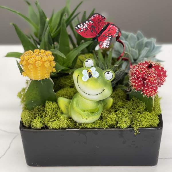 Succulent planter with a frog figurine and butterfly decoration