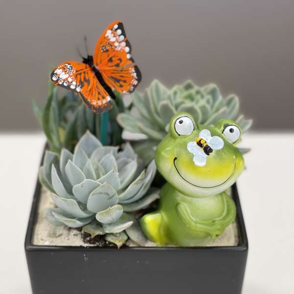 Succulent planter with a frog figurine and butterfly decoration