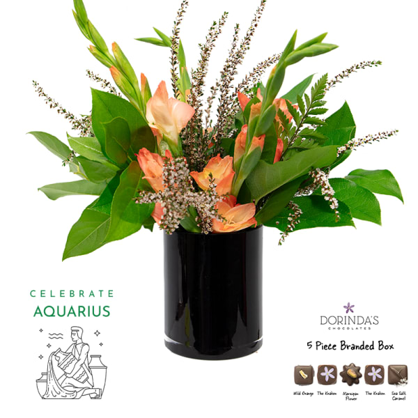 Aquarius Birthday Bundle
