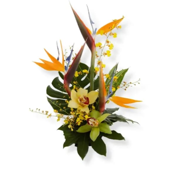 Tropical bouquet with bird-of-paradise and orchids