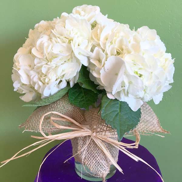 White hydrangea bouquet wrapped in burlap and tied with raffia in a glass vase