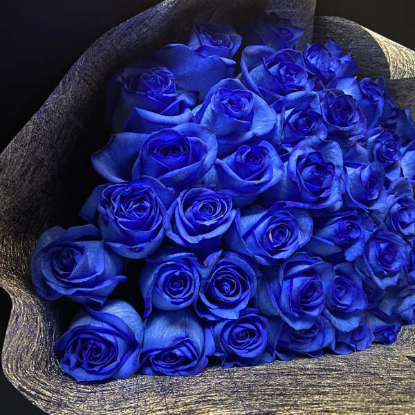 Bouquet of vivid blue roses wrapped in dark textured paper