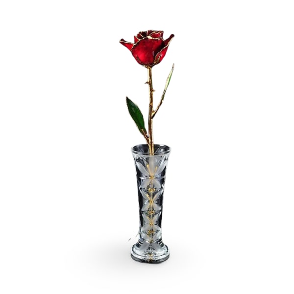 Preserved Burgunday 24KT Gold Rose in Display Vase