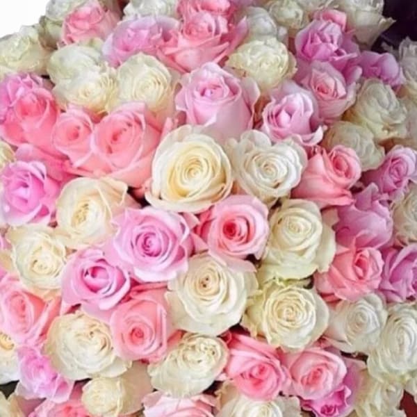 Dense bouquet of pink and white roses