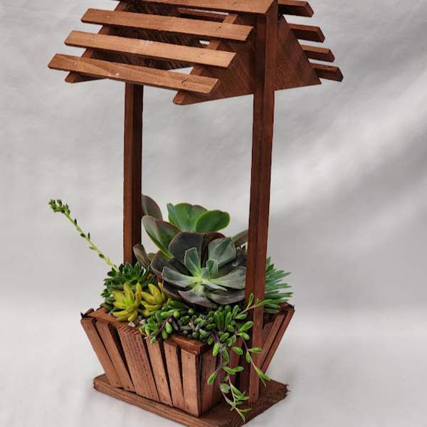 Redwood Well Succulent Planter