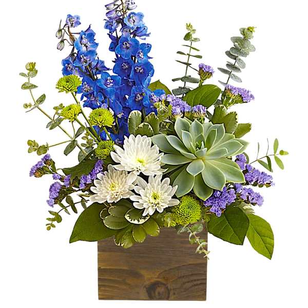 Blue and white flowers arranged in a wooden box with a succulent