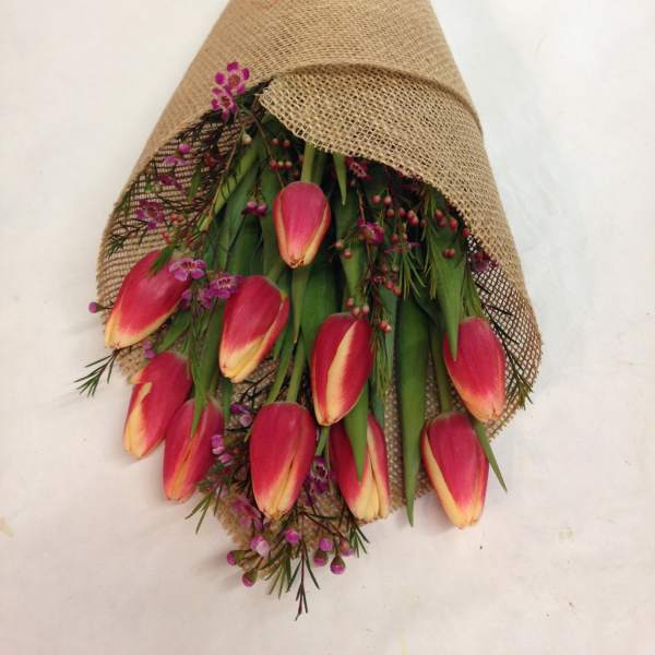 the Sunset of San Francisco