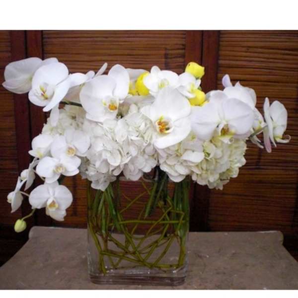 White orchids arranged in a clear glass vase