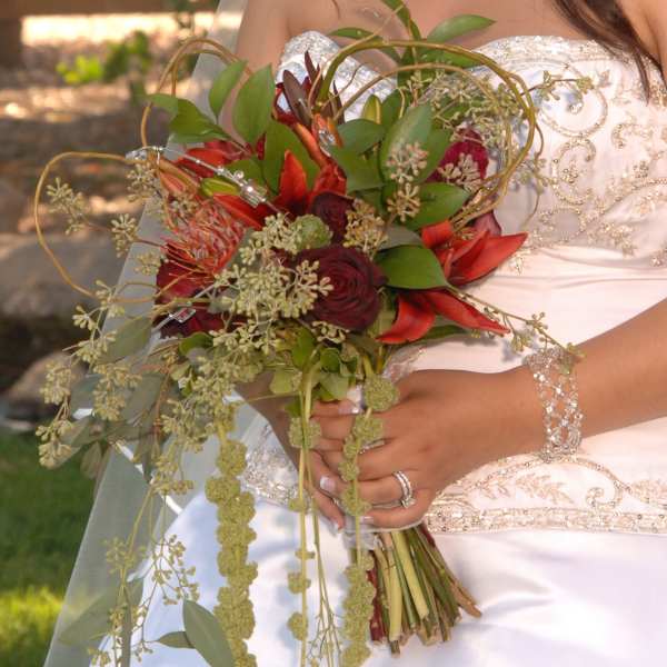 Bride holding a cascading bouquet of red flowers and greenery