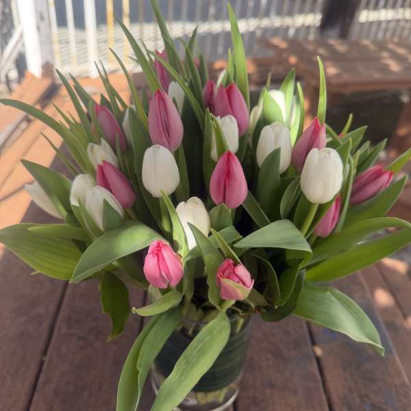 Pink and white tulips arranged in a glass vase
