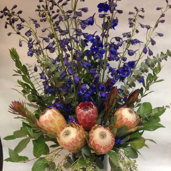 Tall bouquet with blue delphinium and pink protea in a black vase